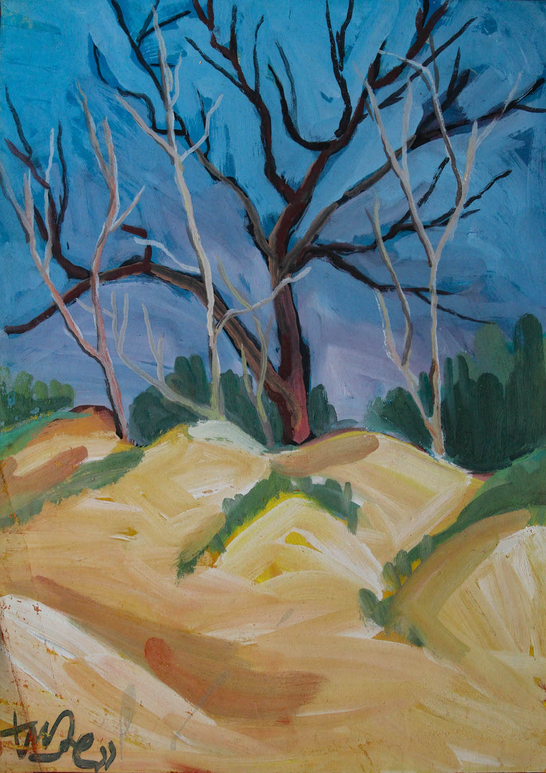 Đồi cát Hàm Tân